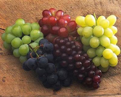 葡萄加工生產(chǎn)線(xiàn)